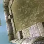 بيع مجلس ارضي 