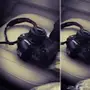 كانون 1dللبدل بنيكون d810