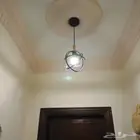 البكيرية