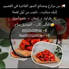 تمر خلاص القصيم درجه أولى(ضميد)