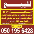 خميس مشيط غرب تندحة