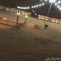 مخيم للبيع 