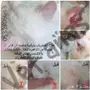 القضاء ع الفطريات ف القطط 2018