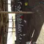 حمام فرنسي