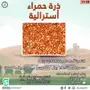 ذرة حمراء استرالية