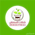 شتلات أقل الاسعار ريال ونصف للشتله 0566079543