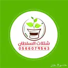 شتلات عبدالعزيز السلطان بأقل الاسعار 