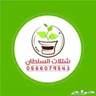 شتلات زراعيه للبيع تبدأ من ريال ونصف للشتله 