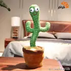 الصبار الراقص 