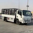 دنا بحايل دينا دينه دنه اي اتجاه