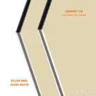 لوحة محل كلادينج الواح بيج داكن DS-ESP-9965 مقاس 125X366 سم