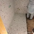 معلم بلاط