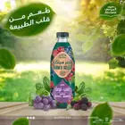 مصمم اعلانات