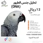 تحديد جنس الطيور بتحليل الحمض النوويDNA