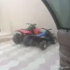 الرياض