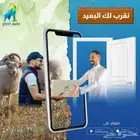 تصميم تطبيقات لعرض وبيع الذبائح عروض عيد الاضحي