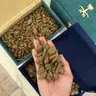 بخور مروكي بضمان ذهبي وسعر تصفيييه