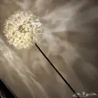 اثاث اضاءات