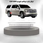 نيكل جنب دينالي كوري 2014