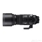 Sigma 150-600 Canon EF Zoom Lens