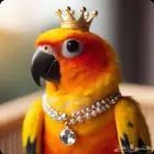صن كنيور مميز ونشبه برى القفص