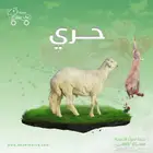 غنم حري ذبيحتك لباب بيتك