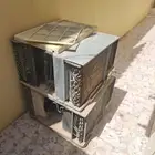 القطيف أم الحمام