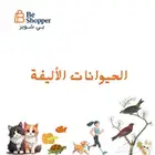 اكل قطط وكلاب ومستلزماتهم منتجات الحيوانات الأليفة