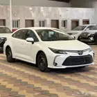 كورولا XLE طيس