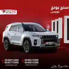 سنج يونج توريس 2023 - فرصة لا تعوض مستخدمة نظيف جدا
