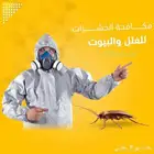 أدوات مكافحة حشرات ومبيدات رش الصراصير والبق بالمدينة المنور