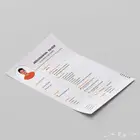 مصمم سيفي سيرة ذاتية cv