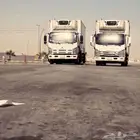 دينا براد