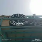 نسيان باترول جنواط