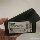 Bosch quiet cast