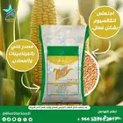 ذرة صفراء حب