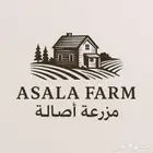 مزرعة اصالة للايجار اليومي عرض الافتتاح