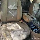 كدلك اسكالد