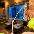 شاليه تاجير يومي