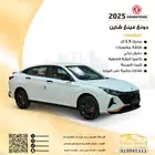 دونج فينج شاين 2025