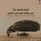 الباحة