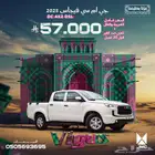 فوتون تونلاند 2025 او عرضنا باليوم الوطني شامل التامين