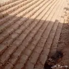 مقازل حجر طبيعي