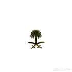 شقق للإيجار طويق