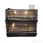 حاضنة فروخ دورين سعة 300 طير