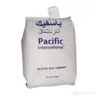بذار برسيم للبيع