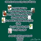 توفرت مجموعة فروخ