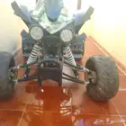 دباب