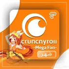 اشتراكات شاهد نتفلكس اوسن اسعار جبارة