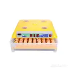 فقاسة 98 بيضة توصيل مجاني